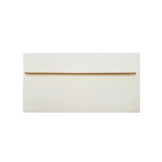 邀請函請帖小冊子進口紙質信封 220*105mm, 象牙, 100個