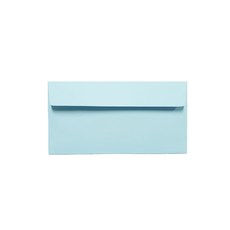 티켓형 상품권 축의금 카드편지 수입지 용돈봉투 175 x 85 mm, 연하늘색, 100개