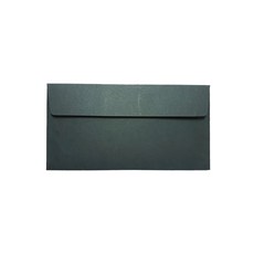 티켓형 상품권 축의금 용돈봉투 175 x 85 mm, 밍크지블랙, 100개