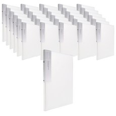 Heemang Natural 透明書本式文件夾 30頁 A4, 白色, 80個