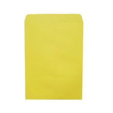 文件規格辦公用辦公室進口紙信封袋 黃色, 245 x 330 毫米, 100個