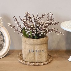 까꾸빈티지 조화 빈티지 삼월의 안개꽃, 화이트, 1개