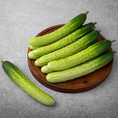 친환경 인증 국내산 백오이 10입, 1개