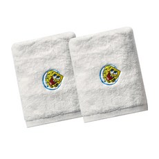 cotton lab Towelist 海綿浴巾 250g 40 水 Komasa, 白色(海綿寶寶), 2入