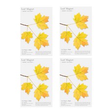 어프리 단풍 리프 마그넷, 옐로우, 4세트