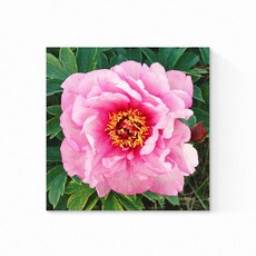 에덴미술 84M 핑크가든 캔버스액자