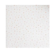 包裝領導 Deli Norouge 包裝紙橙色 30 x 30cm, 1件, 1000件