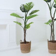 몬스테라 조화 나무 125cm, 혼합색상, 1개