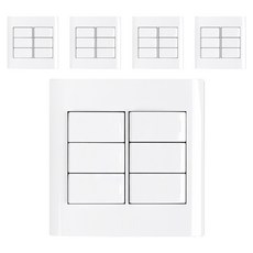dosel 6 出 開關 SA08, 5個