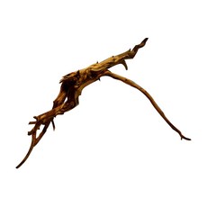 頂級枝狀流木 隨機出貨, 1個