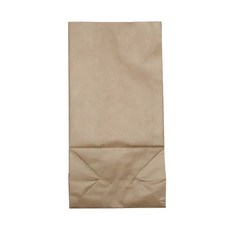 牛皮紙袋 L號, 100入, 10個