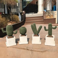 iHanco DIY生動仙人掌4件組, 1套, 混合色