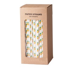 Shopmind 鳳梨紙吸管, 250入, 1個