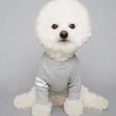 By Damsumi 雙線狗狗T恤, 灰色