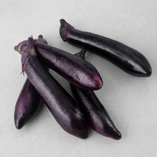 GAP 인증 국내산 가지, 5입