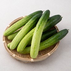 GAP 인증 국내산 백오이, 10입