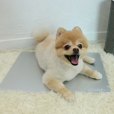 寵物涼墊, 銀