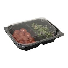 Tina野餐2格沙拉水果容器 黑色 490ml, 1入, 100個