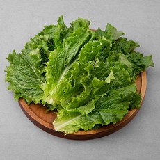 국내산 청상추, 1kg, 1봉