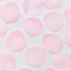 조이파티 웨딩 플라워샤워 꽃잎, 핑크, 5개