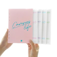 RIHOON 4個月的大學生活6球日記, 混色