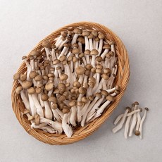 무농약 인증 국내산 손질된 갈색 만가닥버섯, 600g, 1팩