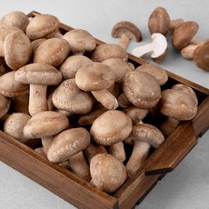 국내산 송화고버섯, 2kg, 1박스