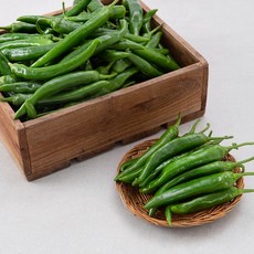 [실속대용량] 국내산 오이맛고추, 10kg, 1박스