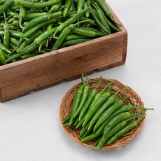 [실속대용량] 국내산 청양고추, 10kg, 1박스
