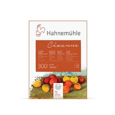 Hahnemühle 塞尚水彩墊黃木原石 10 張 300g, 1個