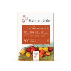 Hahnemuhle 塞尚霧面中紋水彩畫本 10張 300g, 1個