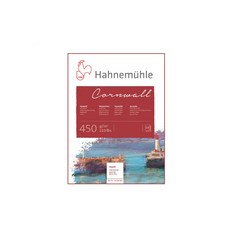 Hahnemuhle 康沃爾水彩紙 中紋 霧面 10張 450g, 1個
