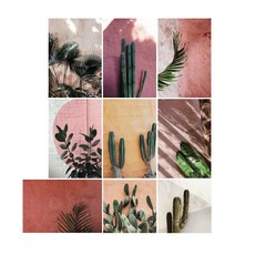 Botanical復古仙人掌照片明信片 9種組, 混色, 1套