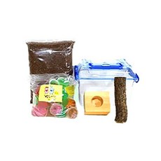 장수풍뎅이 사육 대형 세트, 혼합색상, 1세트