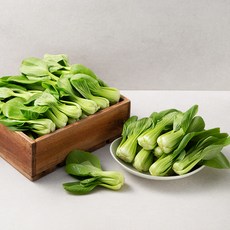 [실속대용량] 국내산 청경채, 4kg, 1개