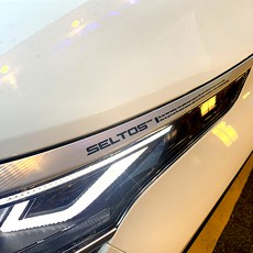 上方水箱護罩標誌PPF貼膜 車用貼紙 Seltos, 1個, 透明