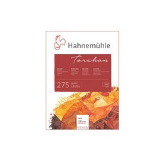 Hahnemuhle Torsion 水彩畫本 粗紋 rough 24 x 32 cm 275g 20張, 1本
