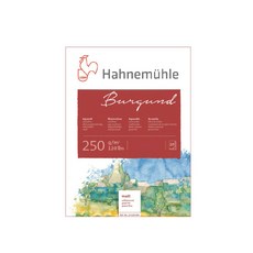 Hahnemuhle 布根德水彩畫本 中目 霧面 30 x 40 cm 250g 20張, 20個