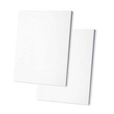 嶺南藝術 棉質畫布 F 人物型, 8號, 2個