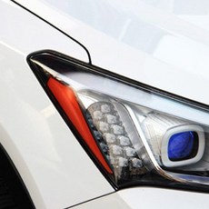 Cartem Santa Fe DM 反光片 汽車貼花貼紙 車燈膜, 混色, 1個