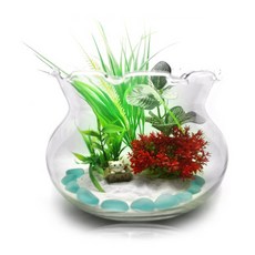 Mine Aqua 新癒合紅鞋夾克 福袋 200 魚缸套組, 隨機發貨