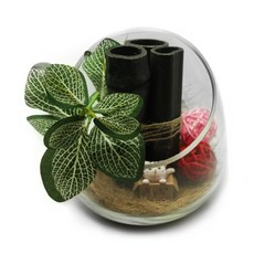 竹炭空氣淨化器+斜開口玻璃球魚缸組, 隨機發貨