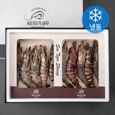 은하수산 탱글탱글 살이 오른 자연산 씨타이거 새우 (냉동), 1.5kg, 1개