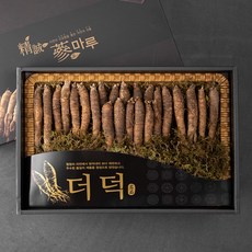 몸애조화 더덕 기획 선물세트, 600g, 1세트
