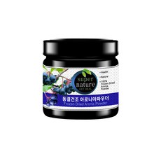 스타일쿡 동결건조 아로니아파우더, 100g, 1개