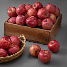 프레샤인 GAP 인증 충주 당도선별 사과, 15kg(70~80과), 1박스