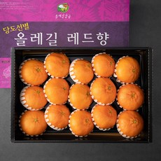 올레길감귤 GAP 인증 당도선별 레드향 선물세트, 5kg(14~17입), 1세트