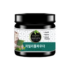 스타일쿡 자일리톨 파우더, 1개, 100g