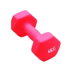 다용도 여성 아령 랜덤발송 6kg, 1개