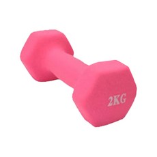다용도 여성 아령 랜덤발송 2kg, 1개